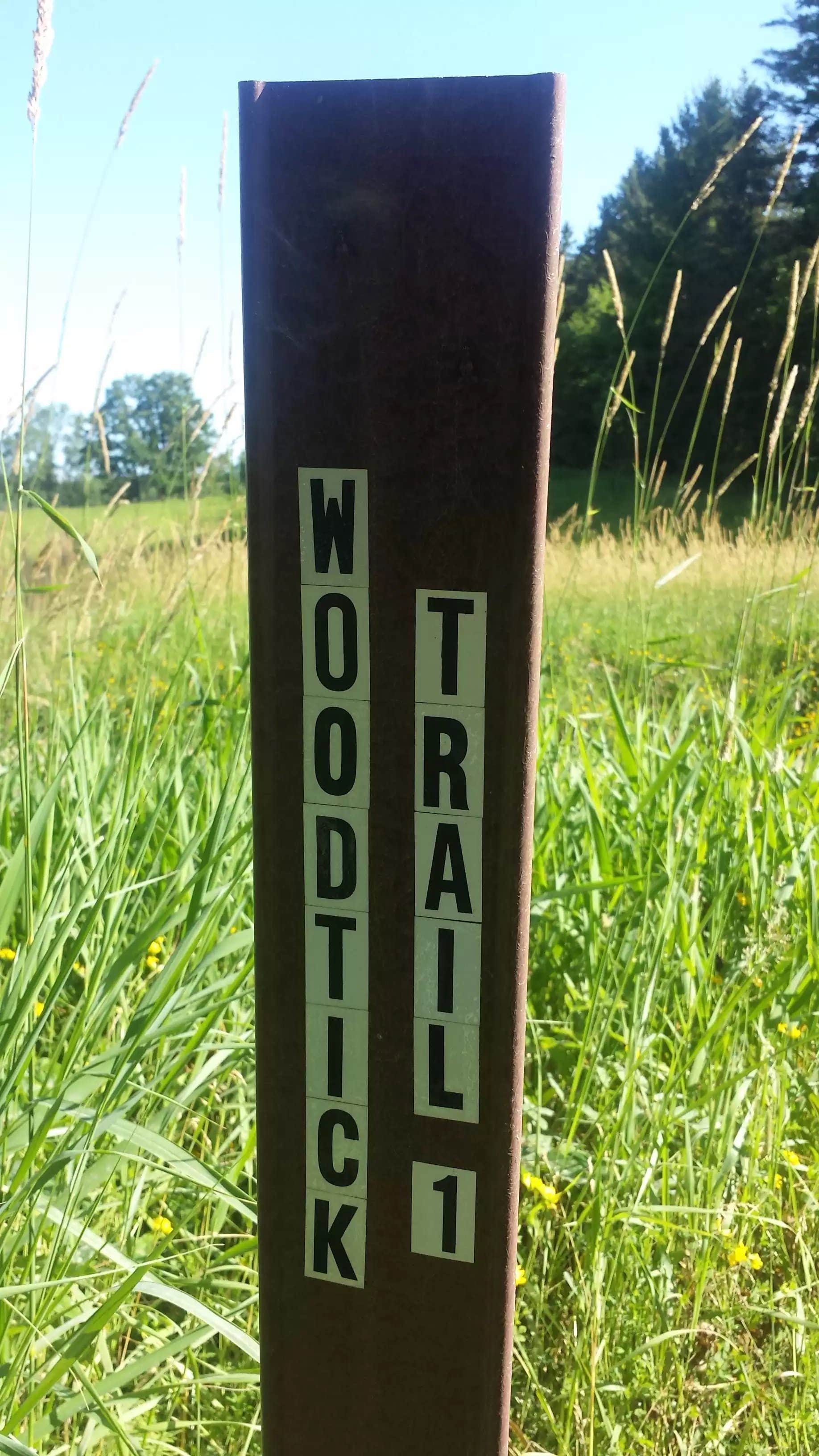 Camper submitted image from Woodtick Trail Dispersed Camp 1 - 2