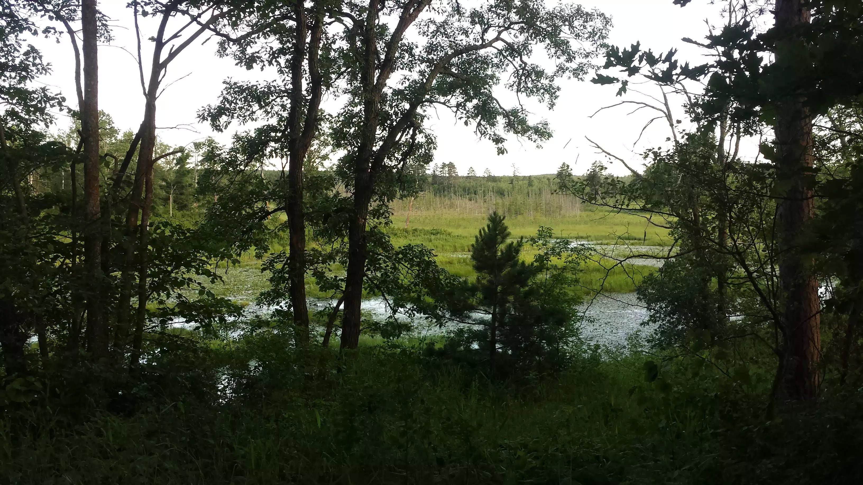 Camper-submitted photo at Woodtick Trail Dispersed Camp 1 near Staples, MN