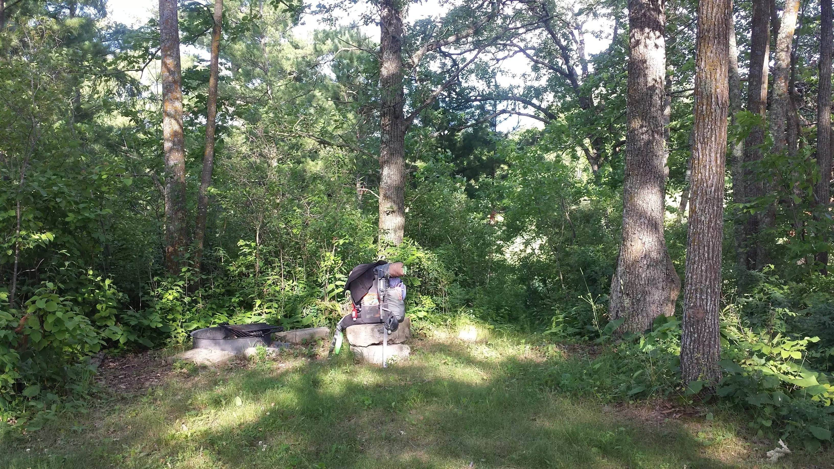 Camper-submitted photo at Woodtick Trail Dispersed Camp 1 near Staples, MN