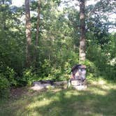 Review photo of Woodtick Trail Dispersed Camp 1 by Amy G., July 18, 2017