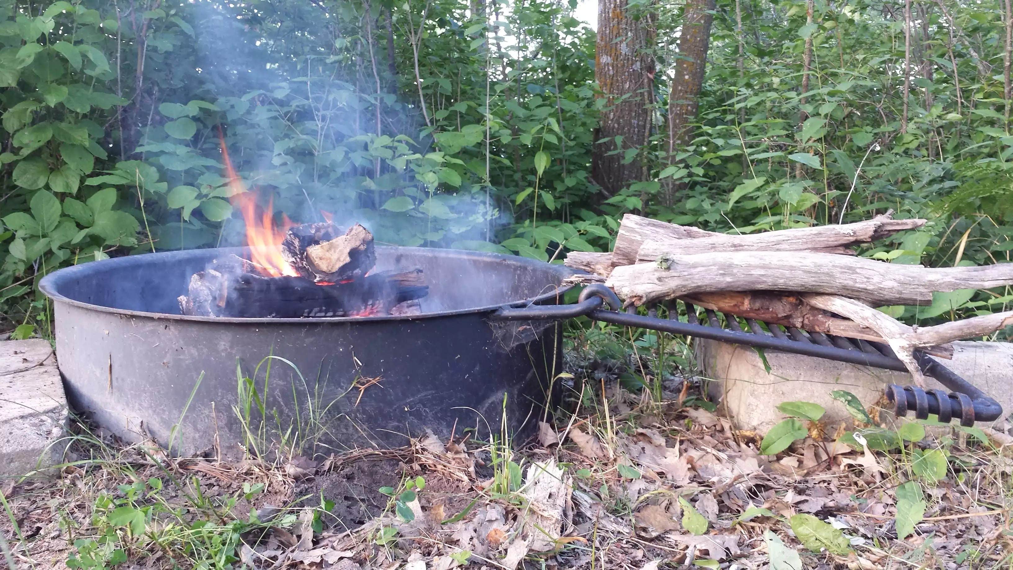 Camper-submitted photo at Woodtick Trail Dispersed Camp 1 near Staples, MN