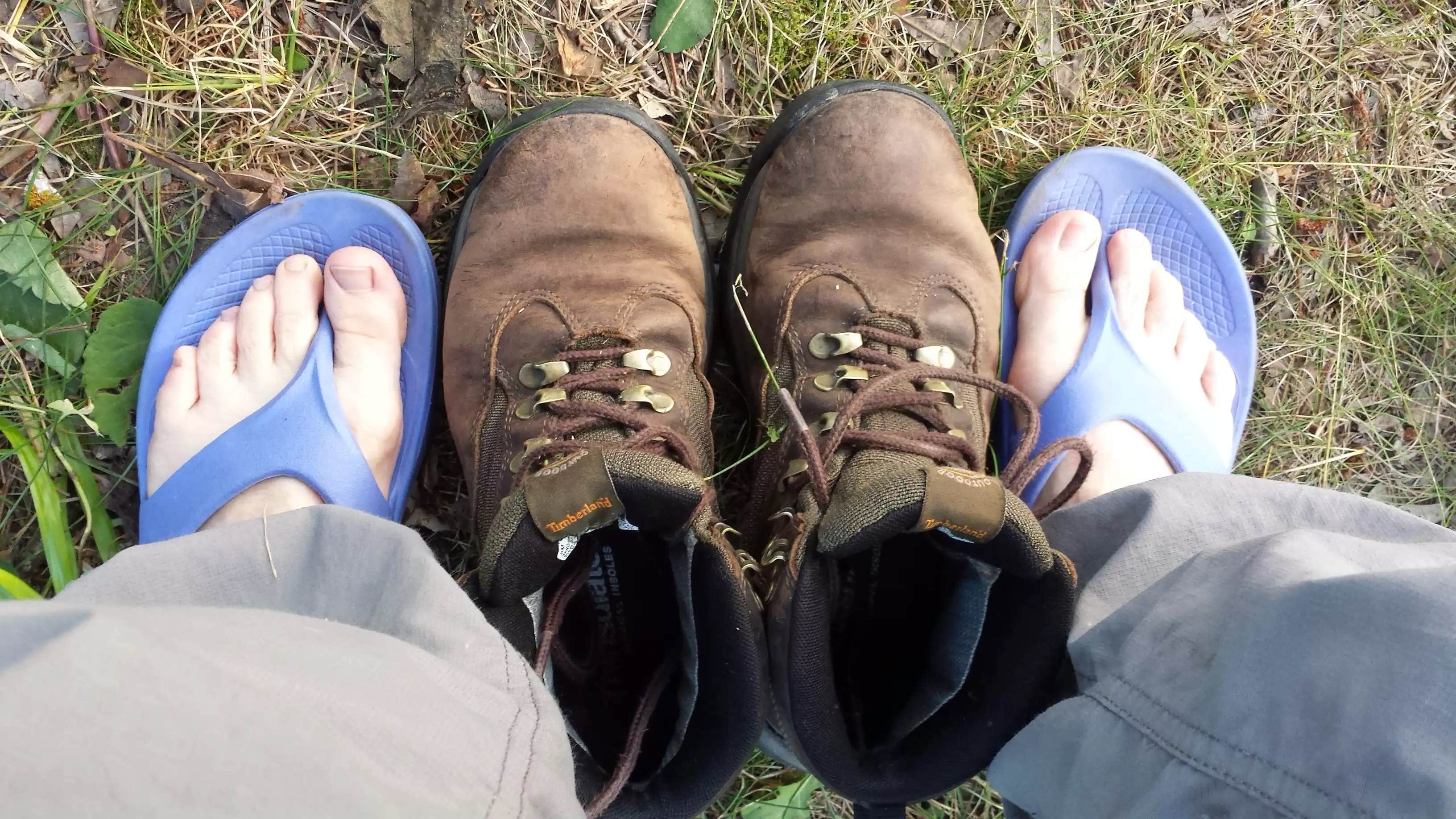 Camper submitted image from Woodtick Trail Dispersed Camp 1 - 1