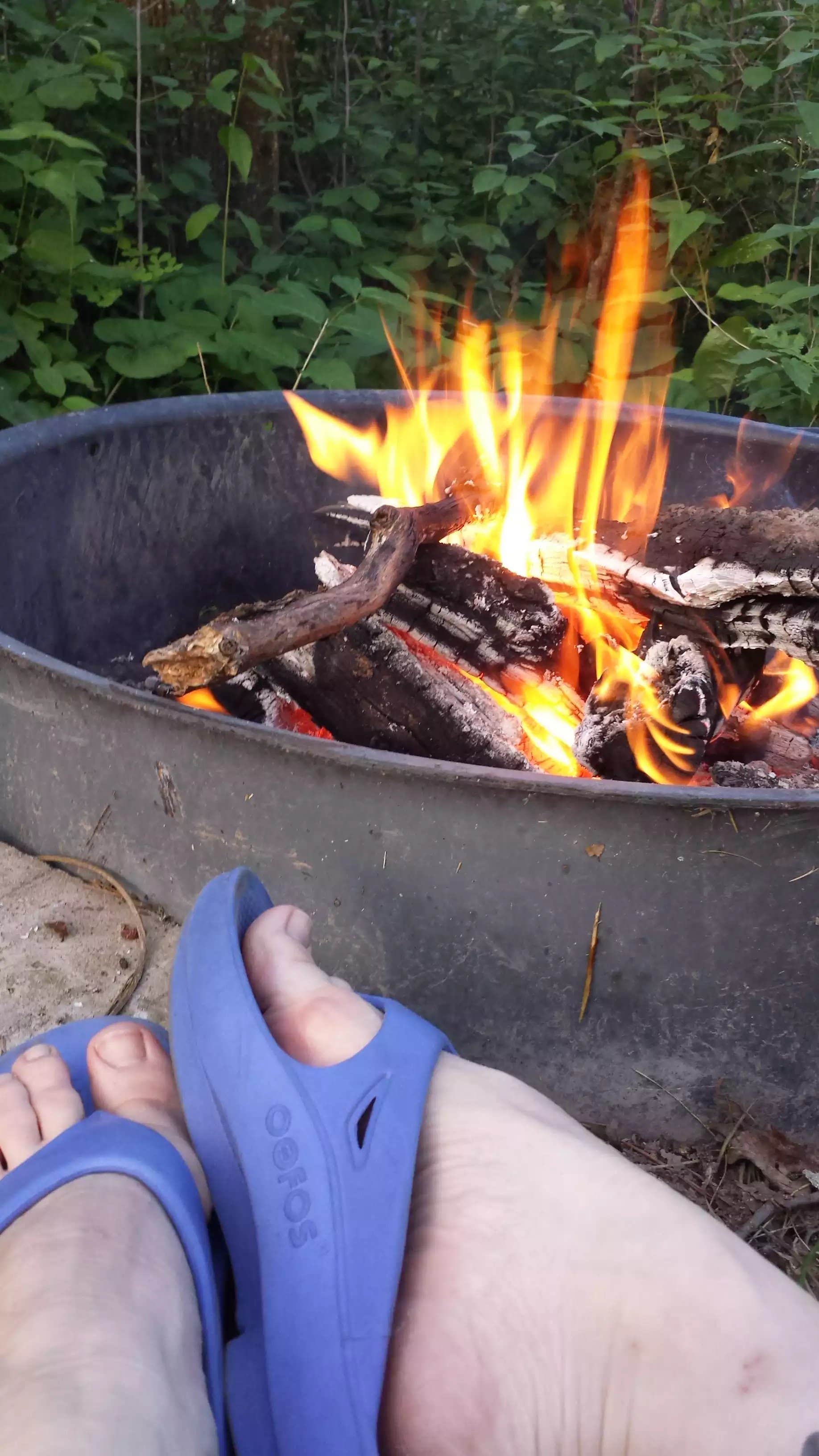 Camper submitted image from Woodtick Trail Dispersed Camp 1 - 4