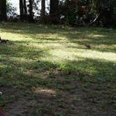 Review photo of Huntsville State Park Campground by Sarah M., June 27, 2016
