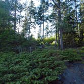 Review photo of Topper Lake Campsite by Steph H., July 18, 2017