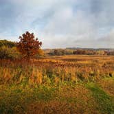 Review photo of William O'Brien State Park Campground by Steph H., July 17, 2017
