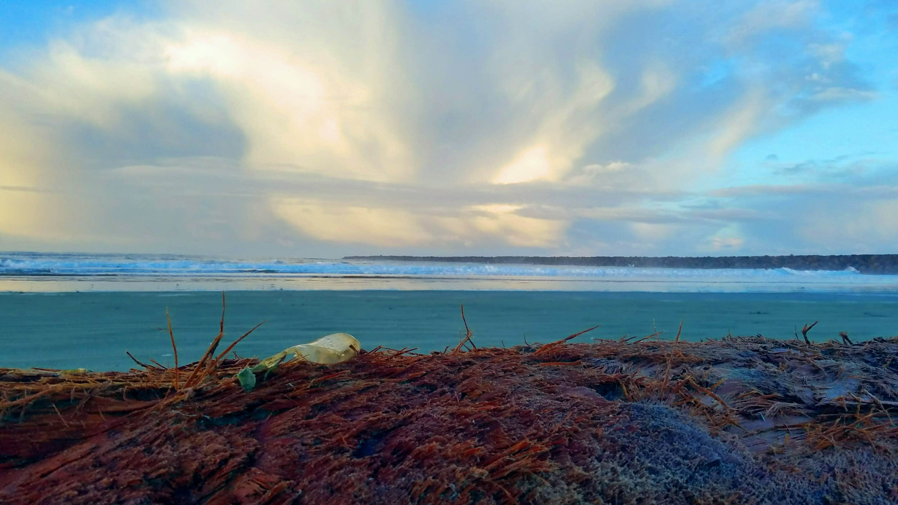 Camper submitted image from South Beach State Park Campground - 1