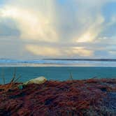 Review photo of South Beach State Park Campground by Tj B., July 14, 2017