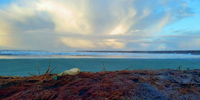 Camper submitted image from South Beach State Park Campground