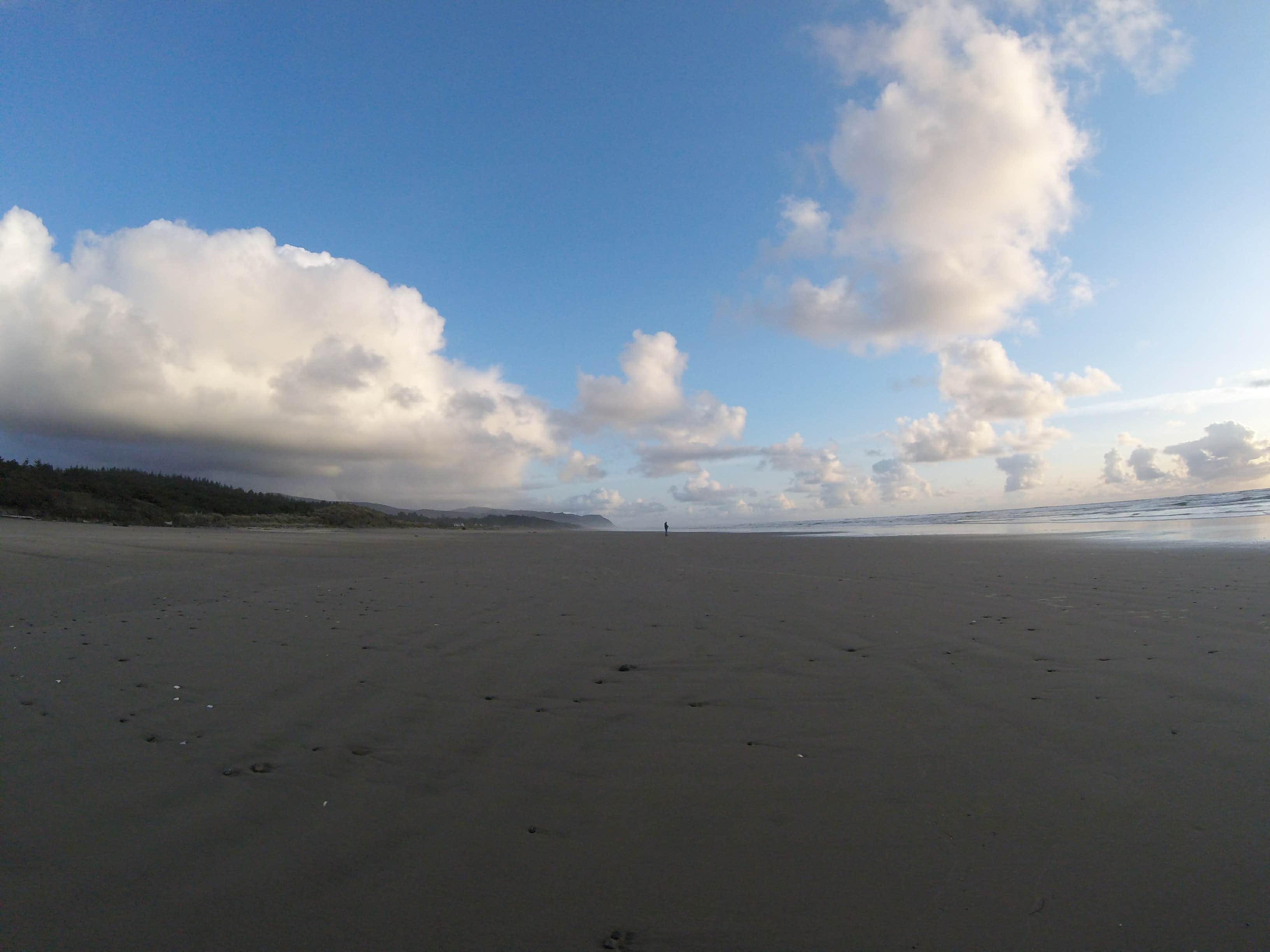 Camper-submitted photo at Beachside State Recreation Site near Monroe, OR