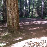 Review photo of Lower Falls Campground by Jessie C., July 19, 2017