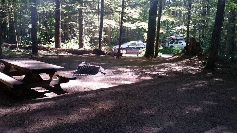 Camper submitted image from Lower Falls Campground - 4