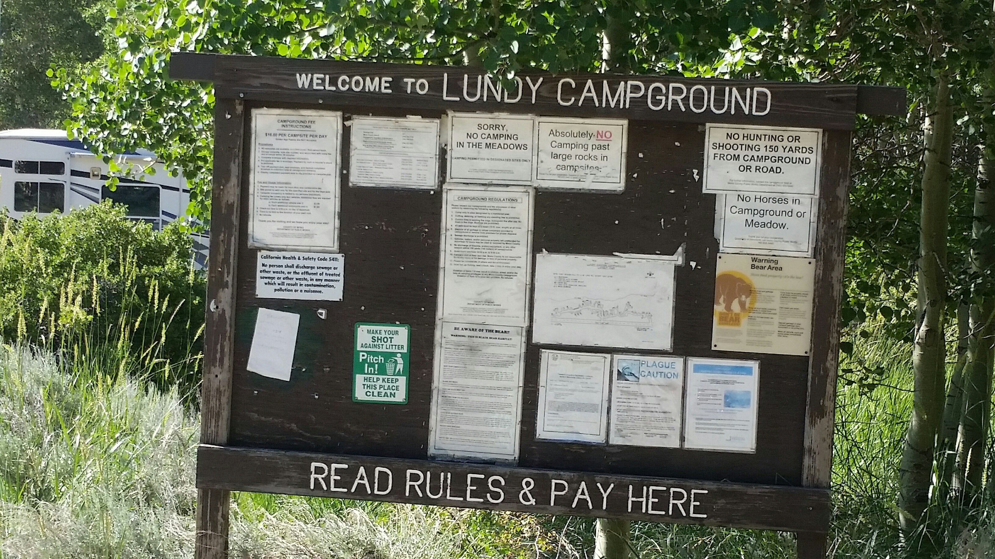 Camper submitted image from Lundy Lake Campground - 4