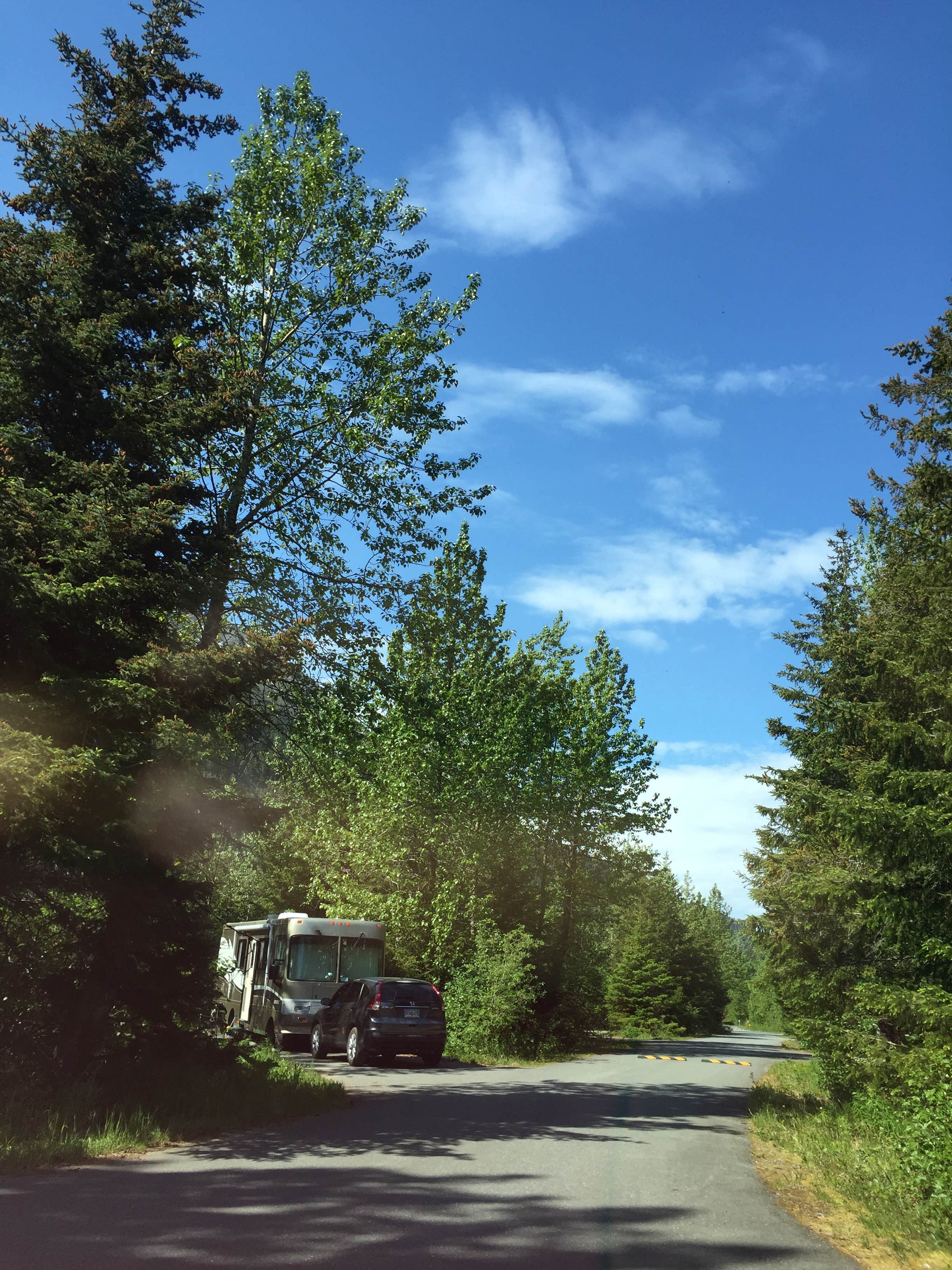 Camper submitted image from Williwaw Campground - 3