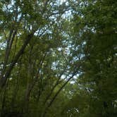 Review photo of Cape Henlopen State Park Campground by Sarah C., July 19, 2017