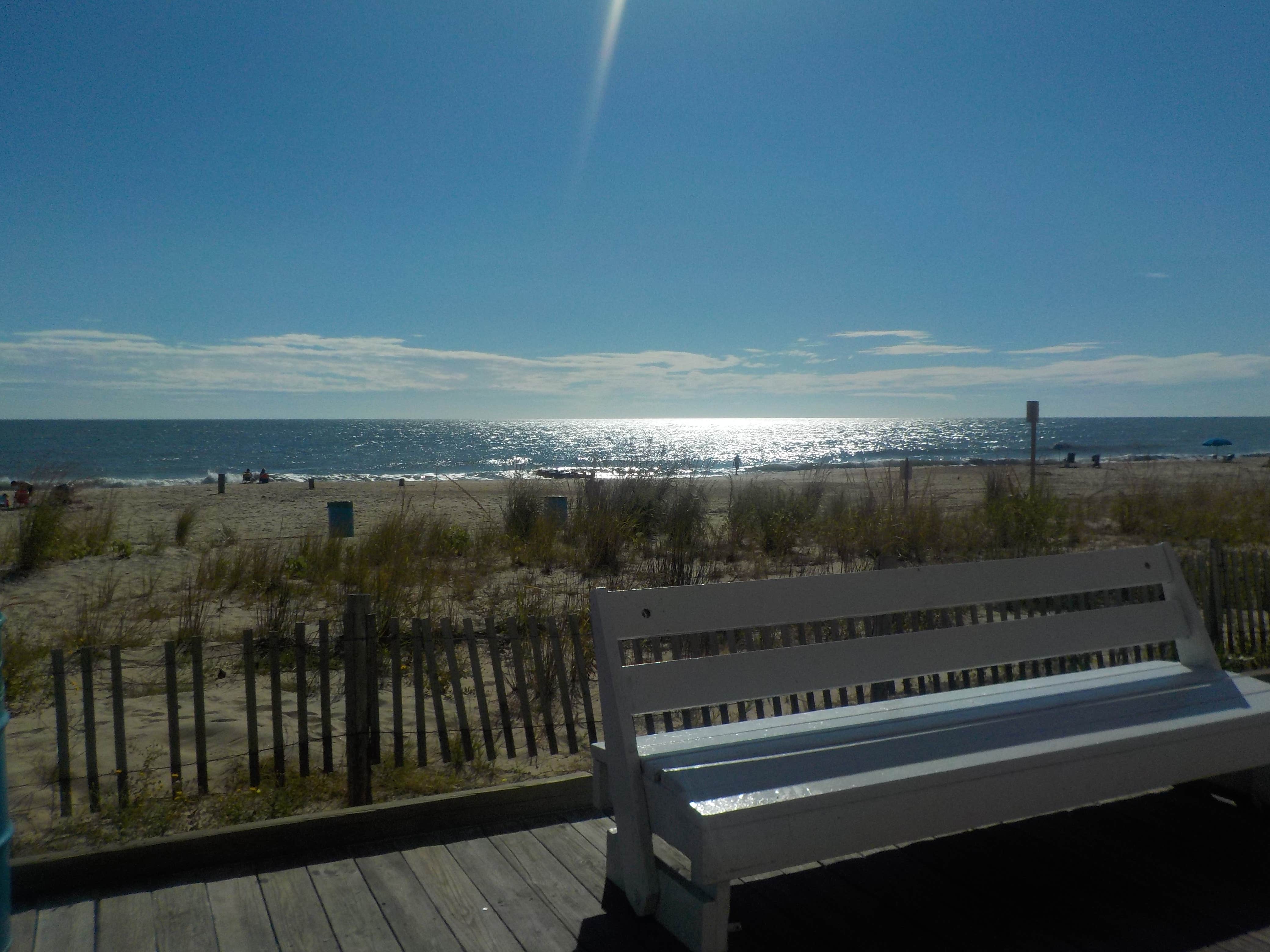 Camper submitted image from Cape Henlopen State Park Campground - 4