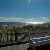 Review photo of Cape Henlopen State Park Campground by Sarah C., July 19, 2017