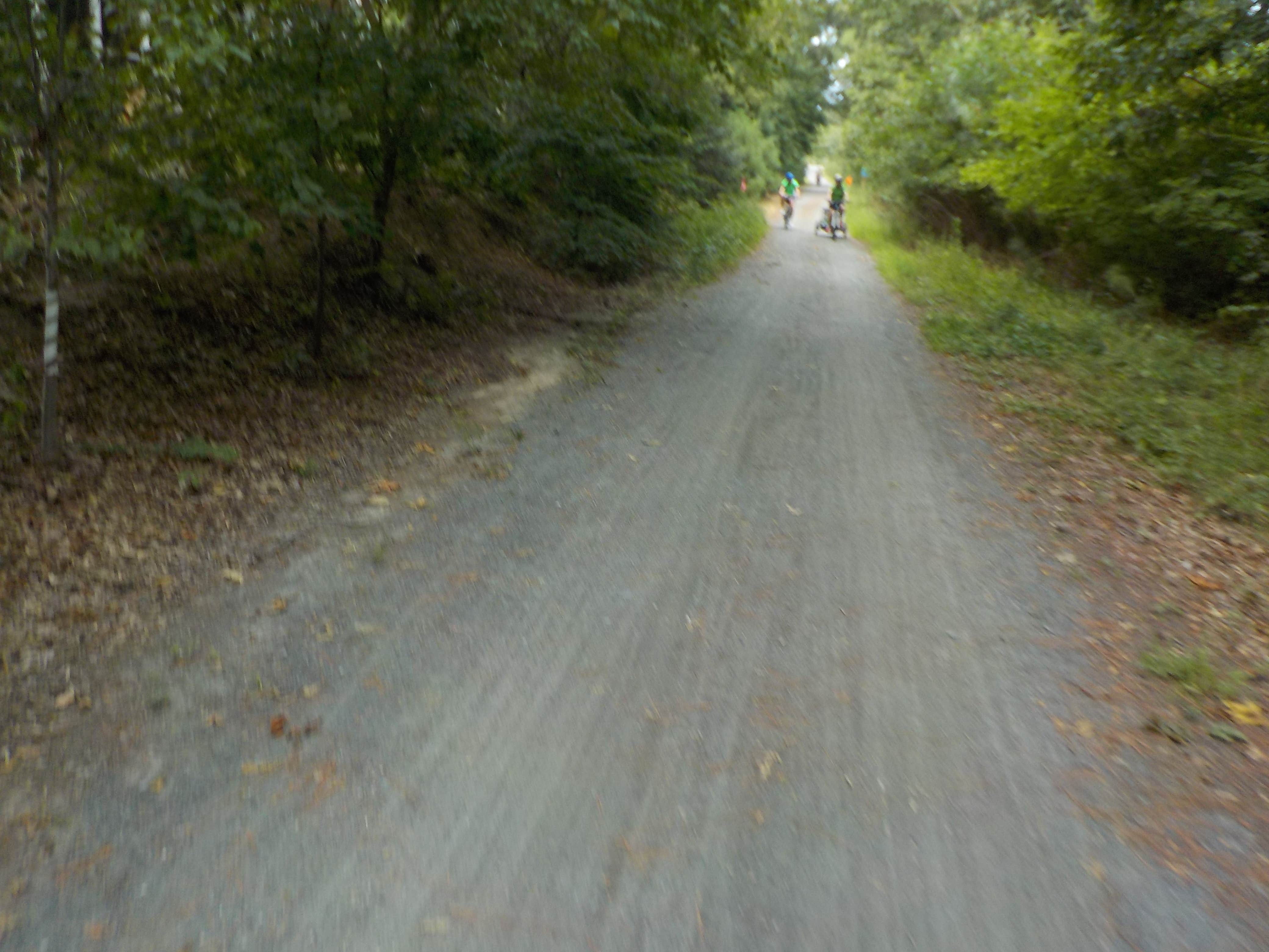 Camper-submitted photo at Cape Henlopen State Park Campground near Millville, DE