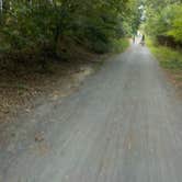 Review photo of Cape Henlopen State Park Campground by Sarah C., July 19, 2017