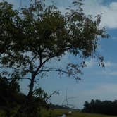 Review photo of Cape Henlopen State Park Campground by Sarah C., July 19, 2017