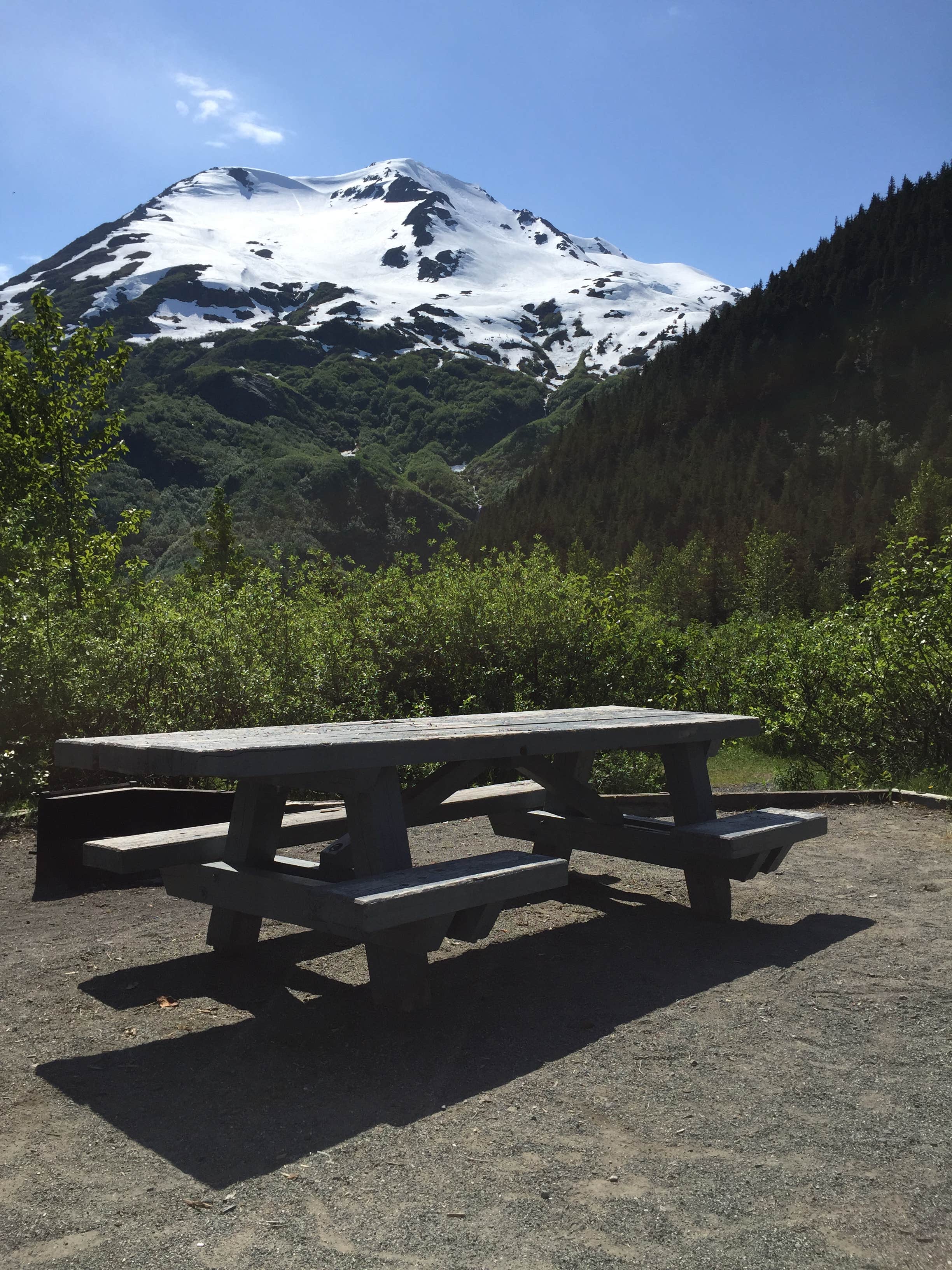 Camper submitted image from Williwaw Campground - 5