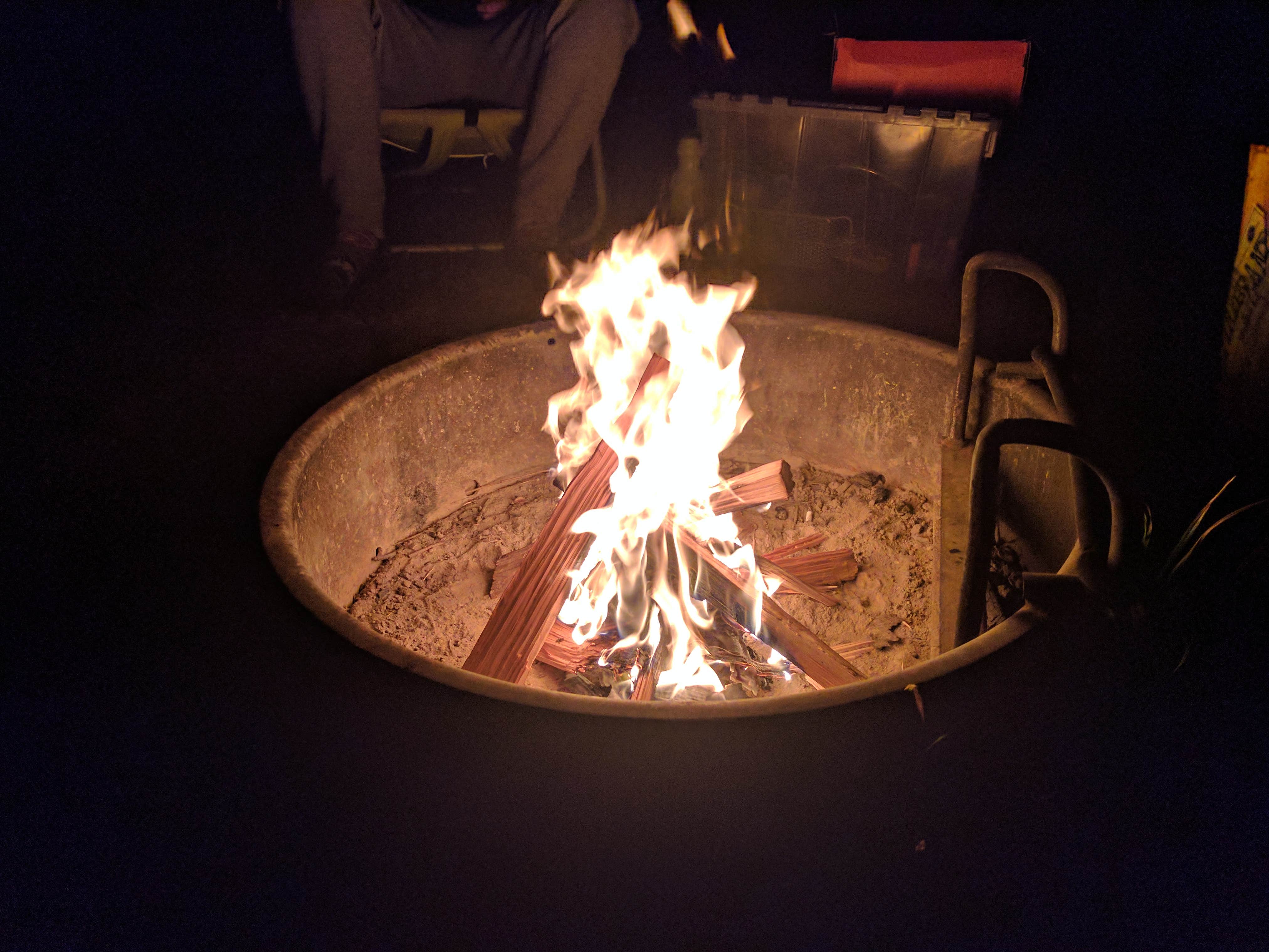 Dawnielle C.'s photo at Tolt MacDonald Park, WA near Kenmore, WA