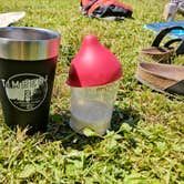 Review photo of Tolt MacDonald Park, WA by Dawnielle C., July 19, 2017