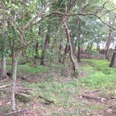 Review photo of Elk Neck State Park Campground by Jen V., July 19, 2017