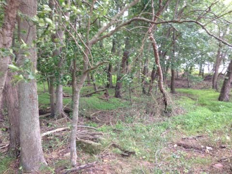 Camper submitted image from Elk Neck State Park Campground - 2