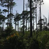 Review photo of Topsail Hill Preserve State Park Campground by Savannah C., July 19, 2017