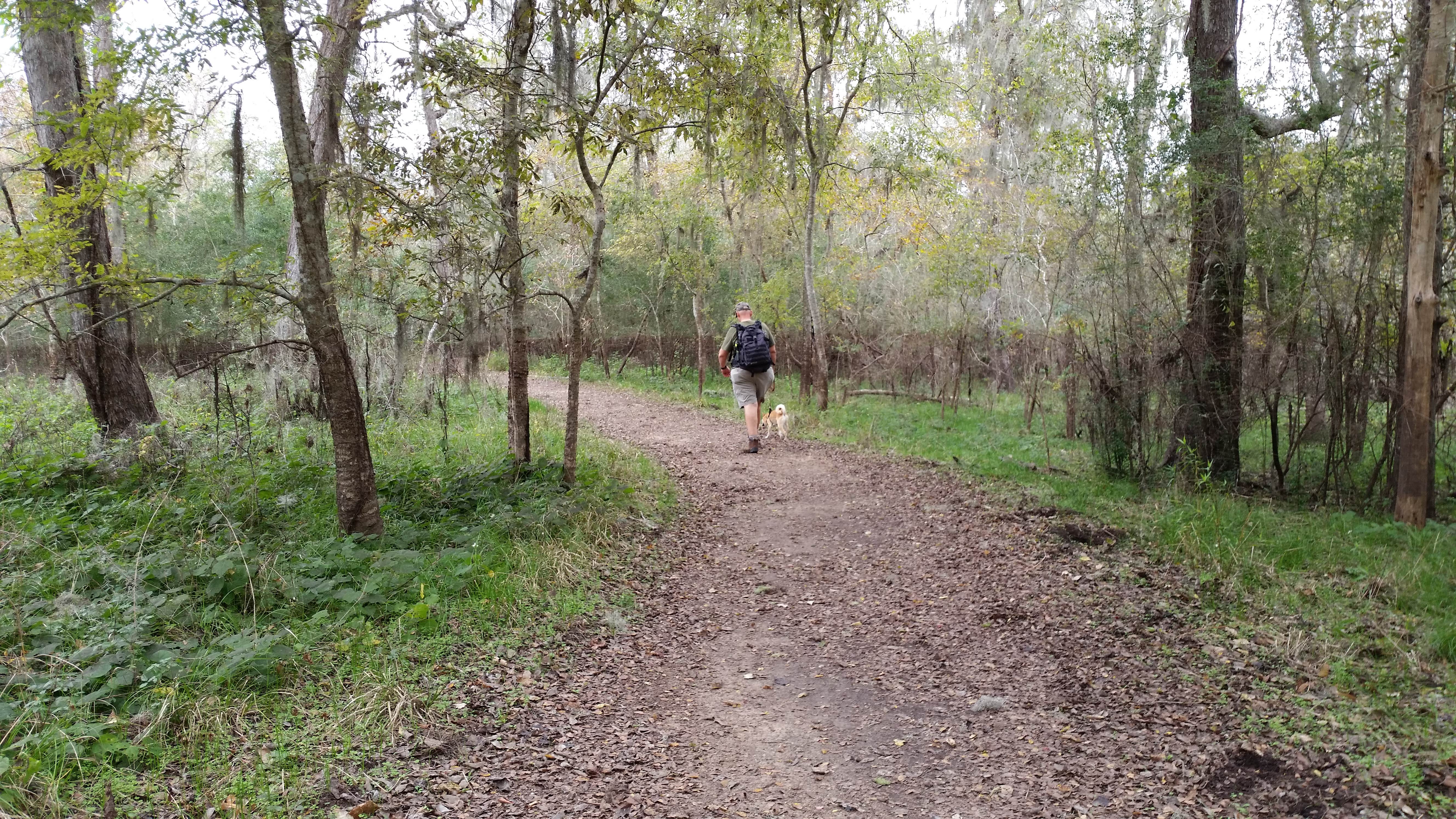 Camper submitted image from Brazos Bend State Park Campground - 5