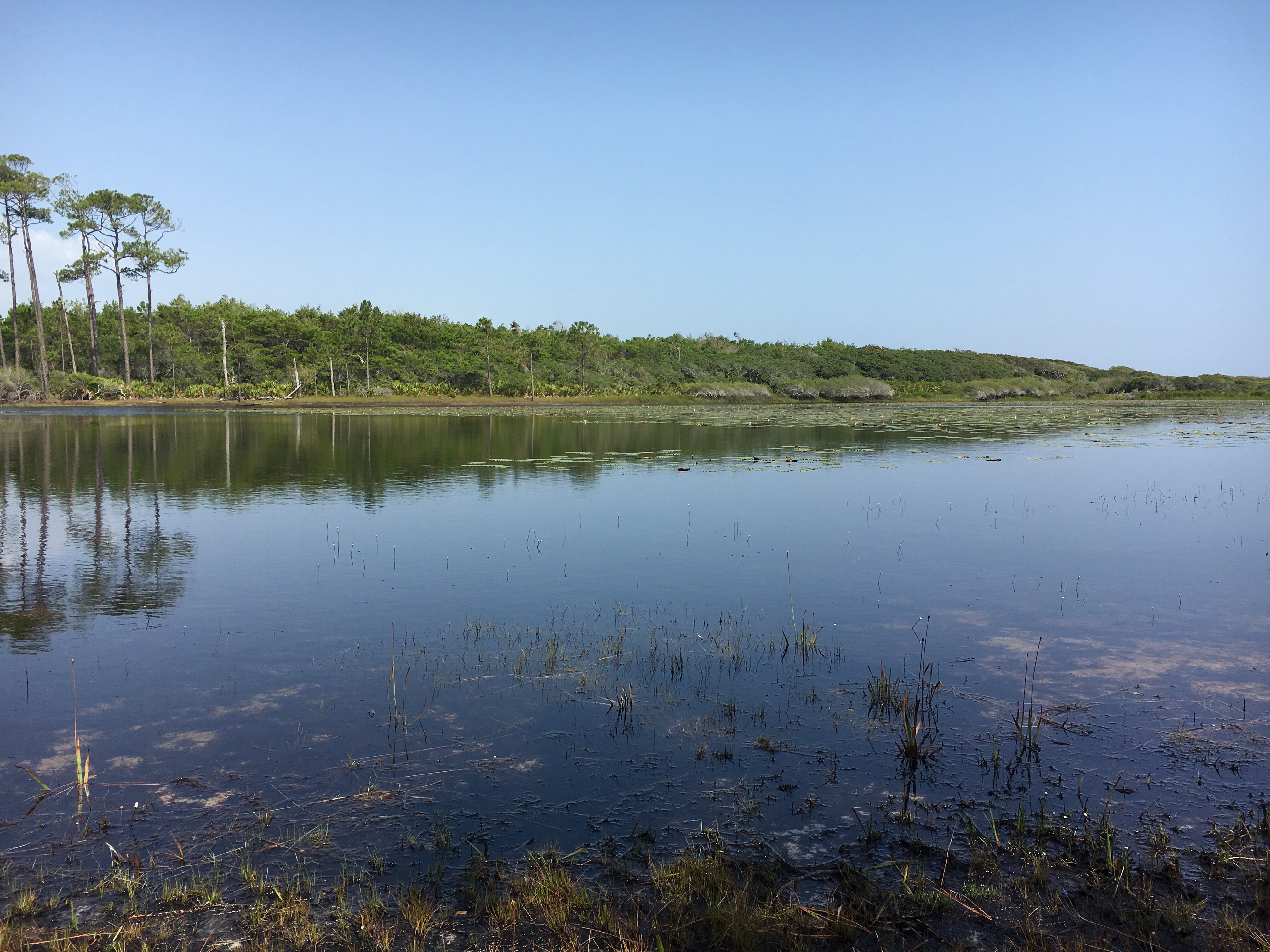 Camper submitted image from Topsail Hill Preserve State Park - 3