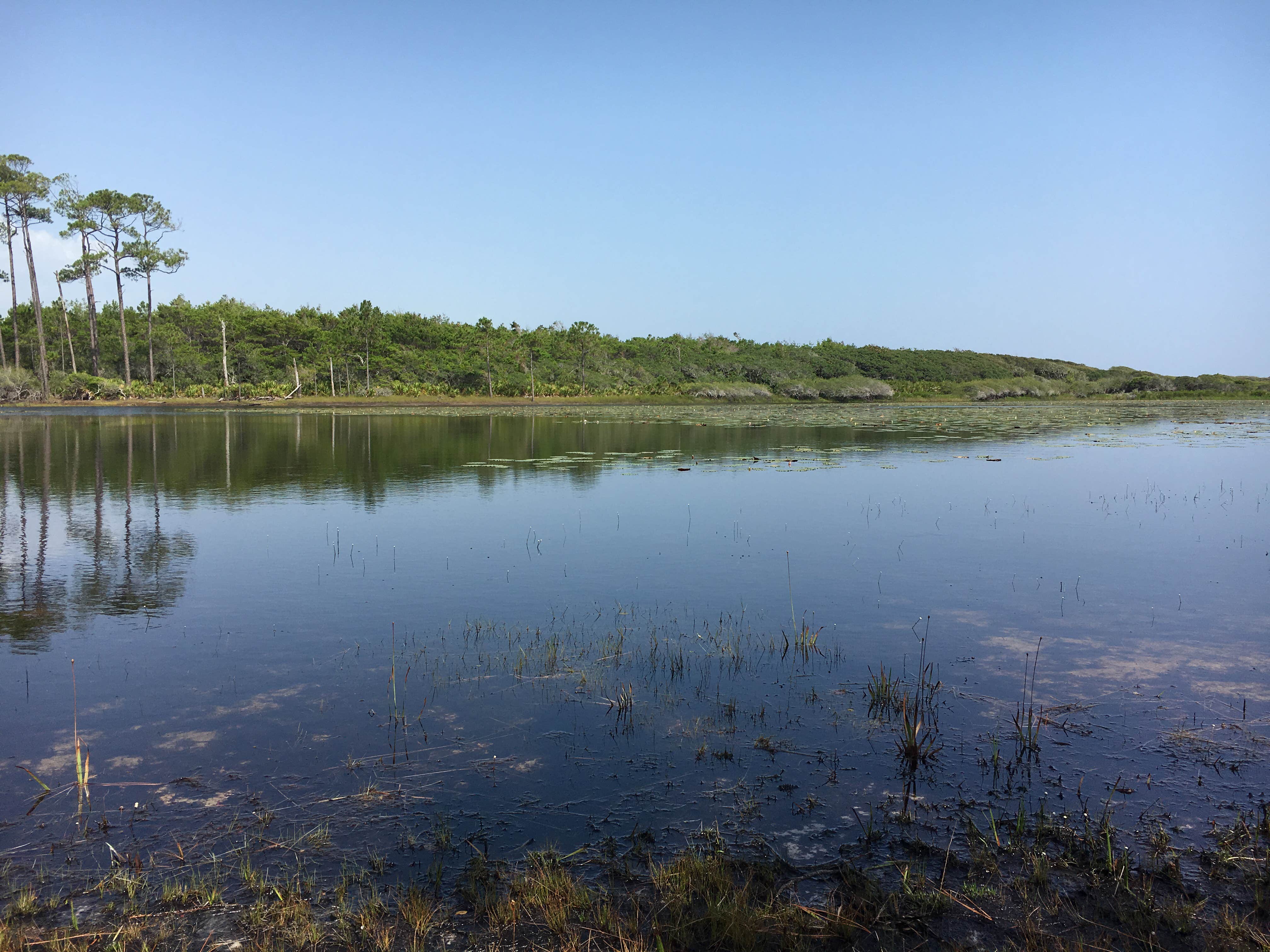 Camper submitted image from Topsail Hill Preserve State Park Campground - 3