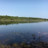 Review photo of Topsail Hill Preserve by Savannah C., July 19, 2017