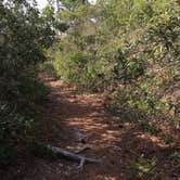 Review photo of Topsail Hill Preserve State Park Campground by Savannah C., July 19, 2017