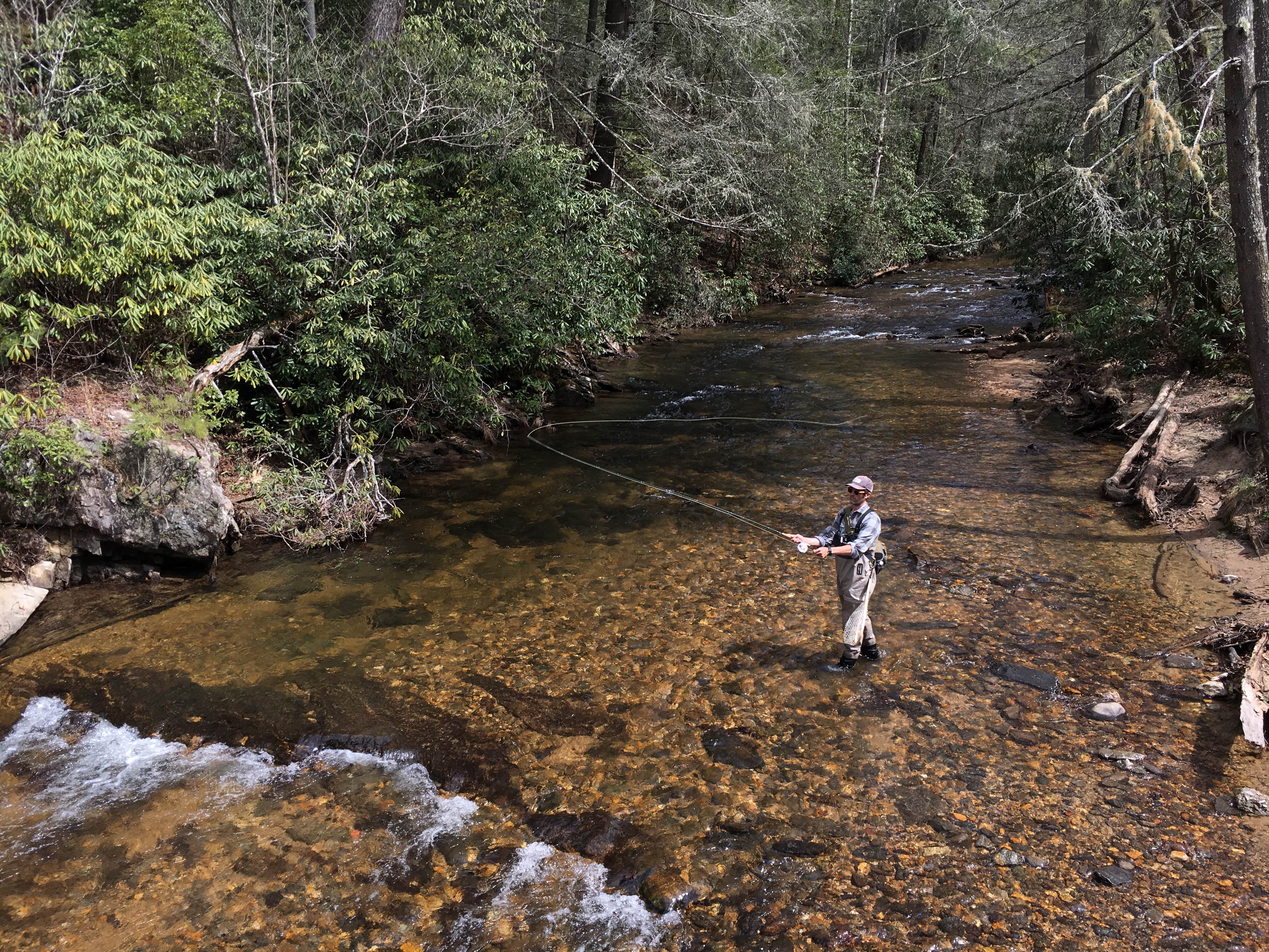 Camper submitted image from Cooper Creek - 2