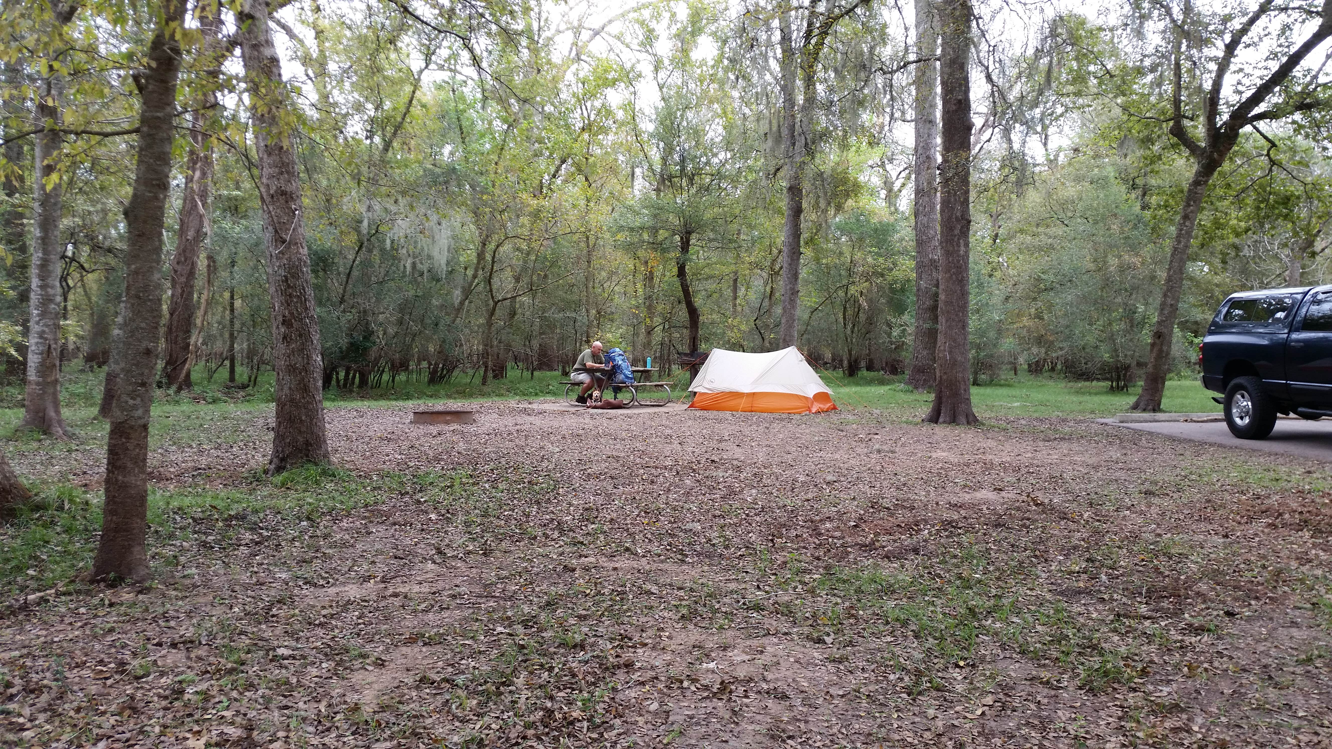 Camper submitted image from Brazos Bend State Park Campground - 5