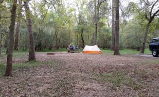 Sarah M.'s photo at Brazos Bend State Park Campground near Fresno, TX