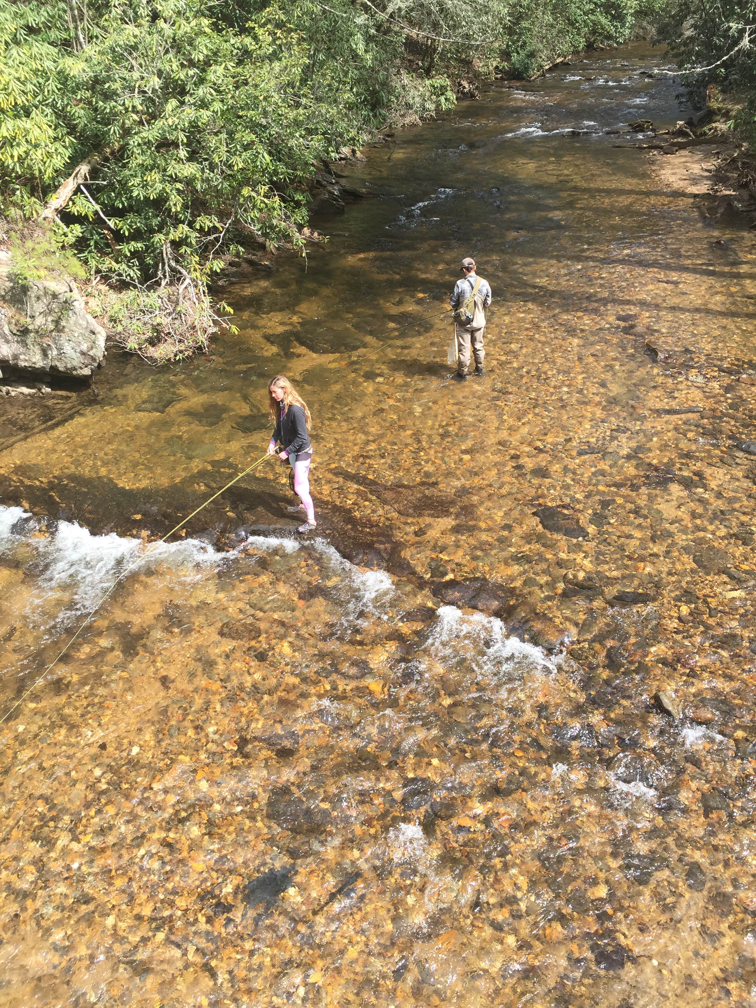 Camper-submitted photo at Cooper Creek near Culberson, NC