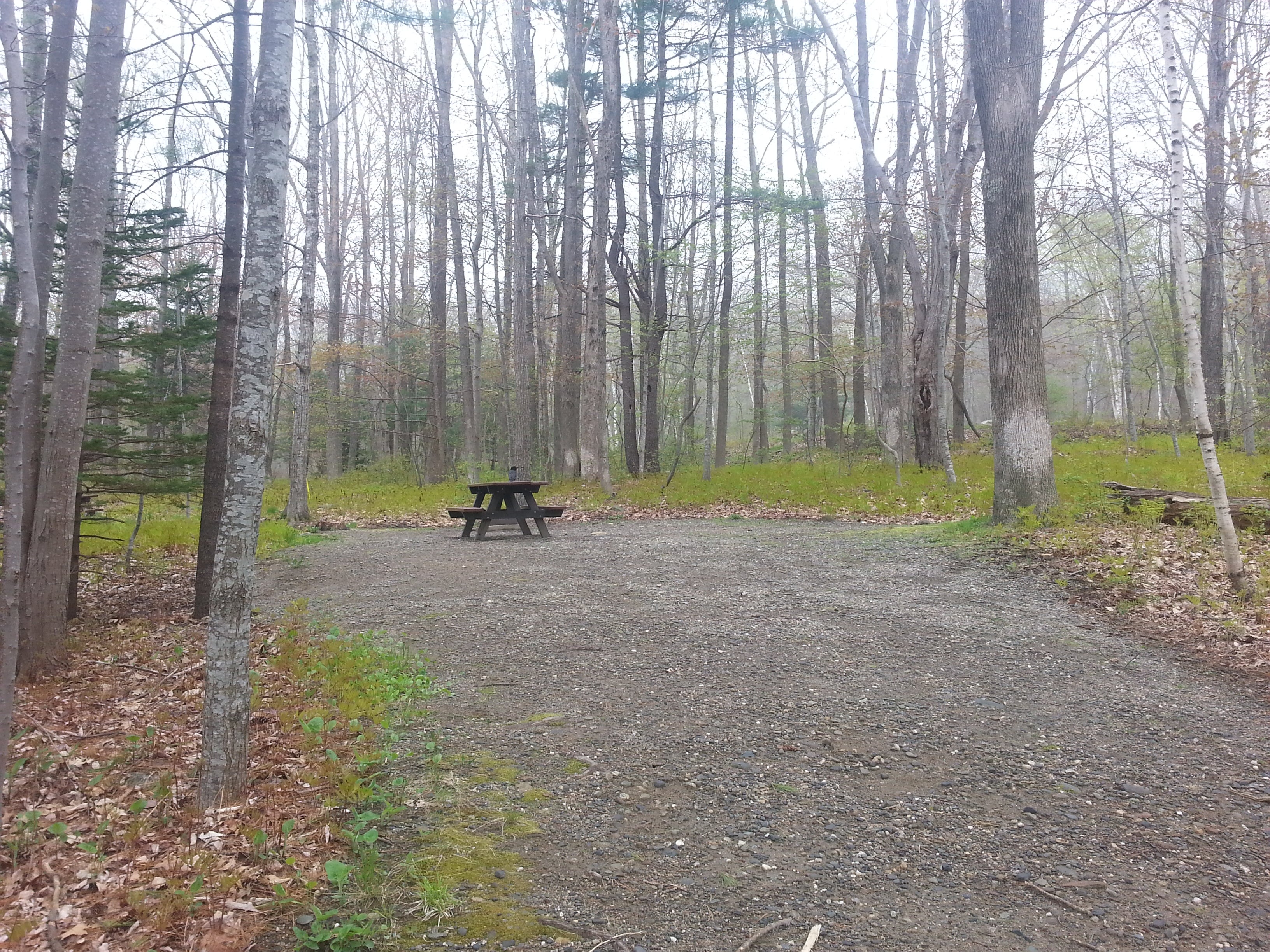 Camper submitted image from Camden Hills State Park Campground - 5