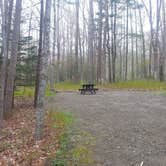 Review photo of Camden Hills State Park Campground by Nancy W., July 19, 2017
