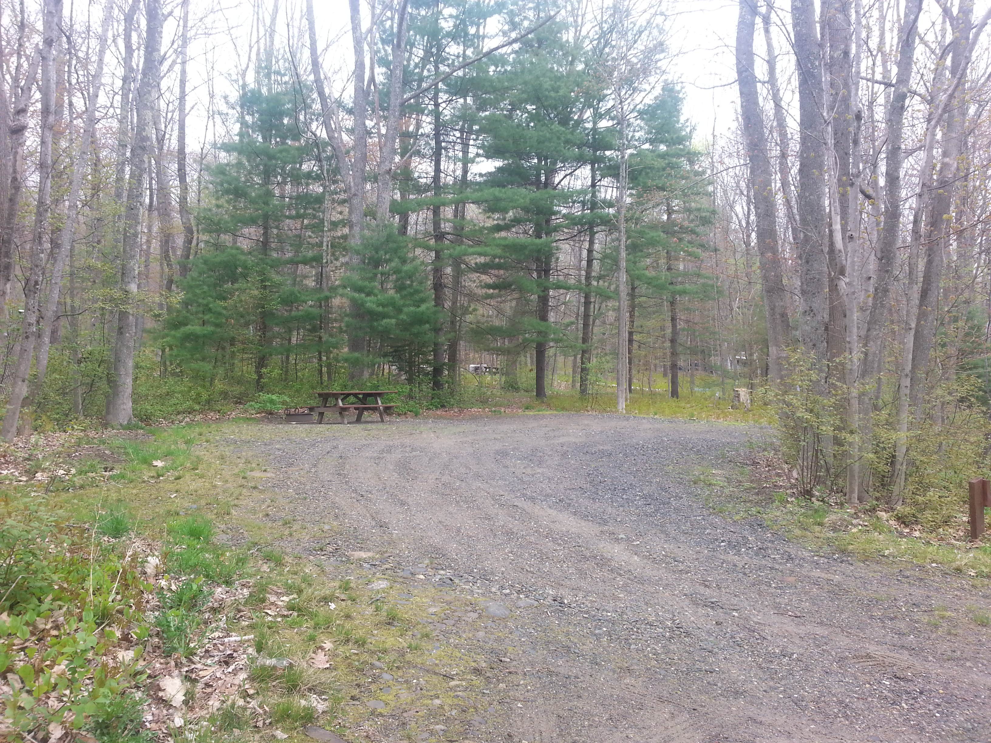 Camper submitted image from Camden Hills State Park Campground - 3