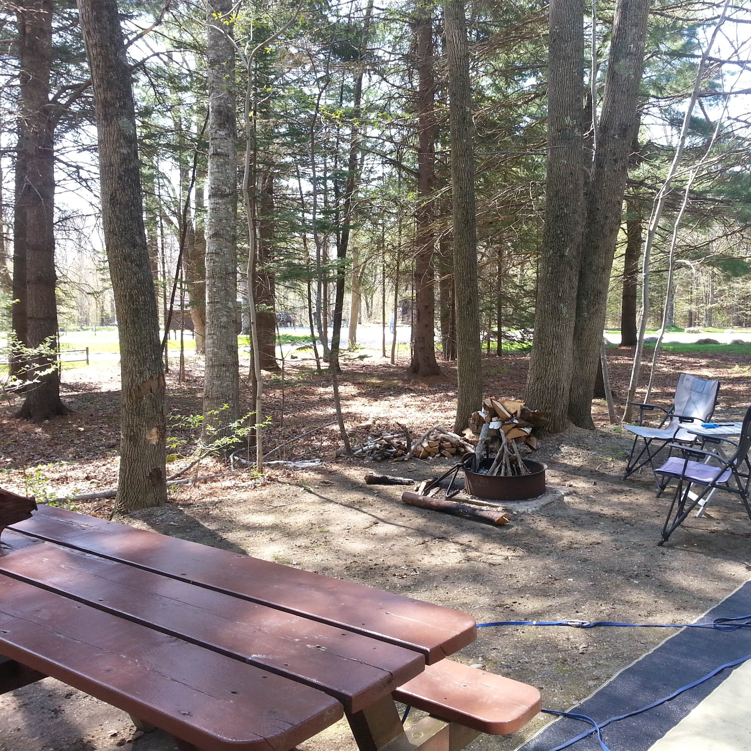 Camden Hills State Park Camping The Dyrt