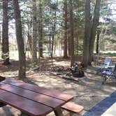 Review photo of Camden Hills State Park Campground by Nancy W., July 19, 2017