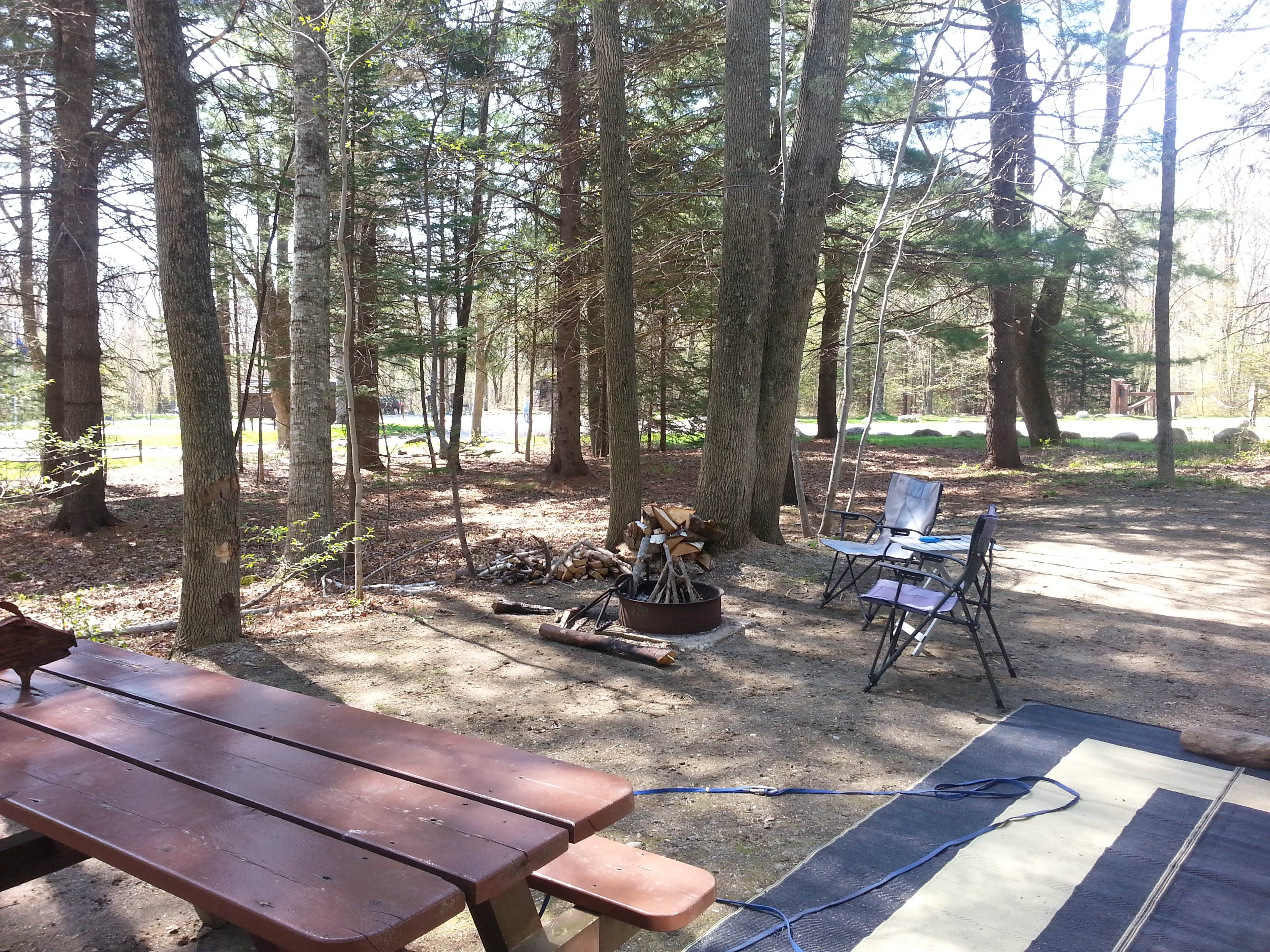Camper submitted image from Camden Hills State Park Campground - 4