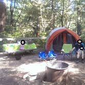 Review photo of Burlington Campground — Humboldt Redwoods State Park by J W., June 27, 2016