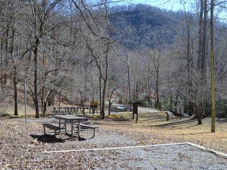Camper submitted image from Tow String Horse Camp — Great Smoky Mountains National Park - 2