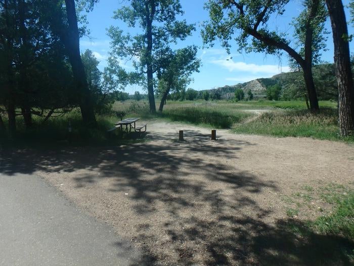 Camper submitted image from Cottonwood Campground — Theodore Roosevelt National Park - 4