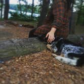 Review photo of Greenleaf State Park Campground by Allison S., June 27, 2016
