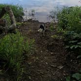 Review photo of Greenleaf State Park Campground by Allison S., June 27, 2016